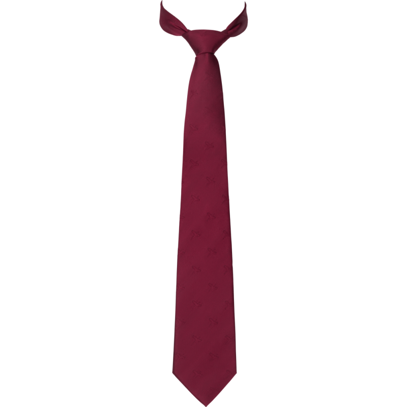 Retrieve Pheasant silk tie