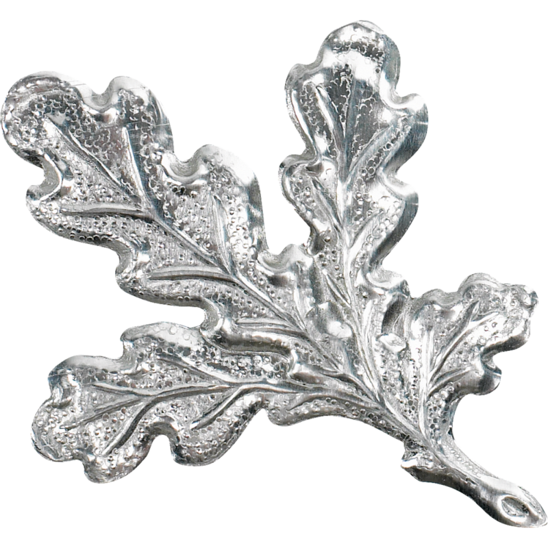 oak leaf